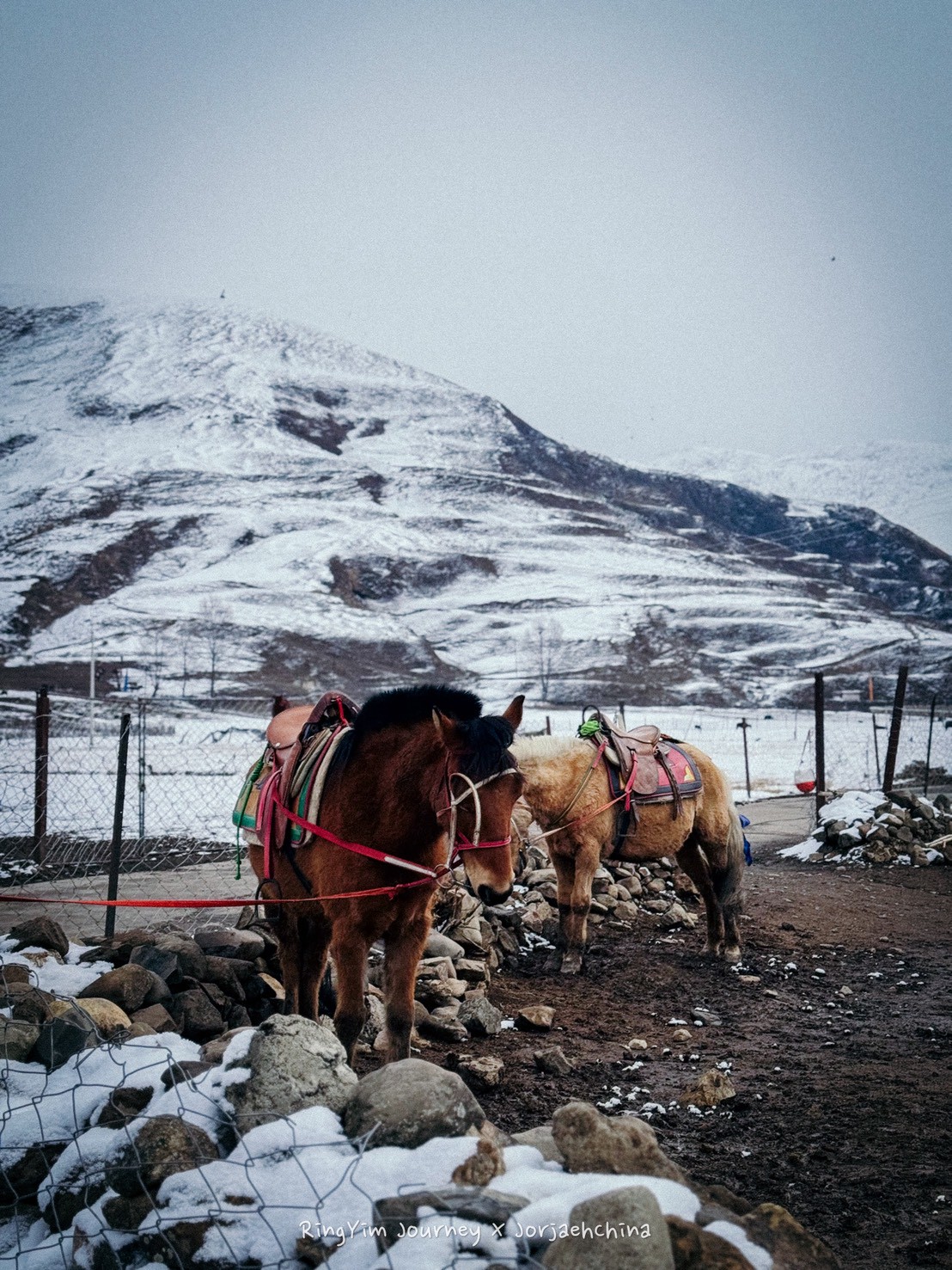 ภาพการเดินทาง