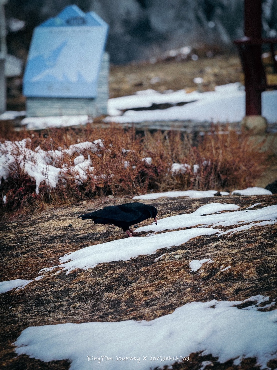 ภาพการเดินทาง